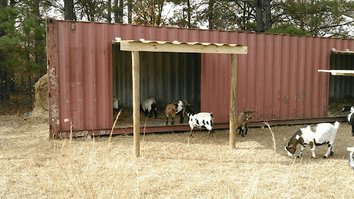 shipping container barn shed
