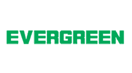 Evergreen